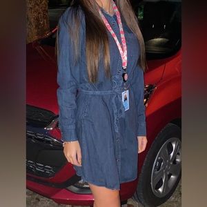 Tie Denim Button Up Dress